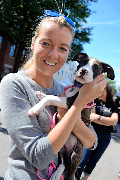 Dogs kiss and smell in Gowanus