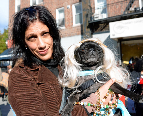 Windsor Terror: All Howl-o’s Eve at animal shelter