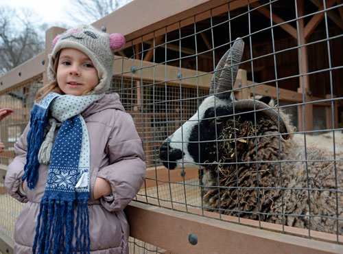 Happy ewe year! Year of the Sheep is pride of Windsor Terrace, Prospect Park