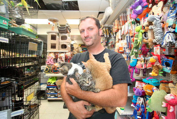 Pussies galore! Windsor Terrace shelter is overrun with kittens