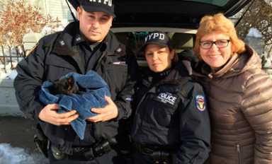 Hero cops, civilians rescue kitten in Windsor Terrace