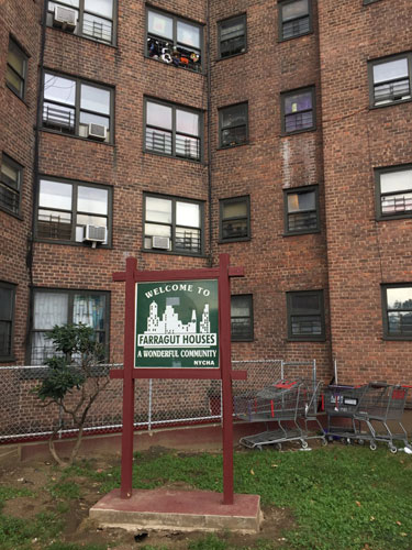 Cops: Man shot dead on Vinegar Hill street