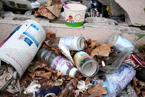 Talking trash in Sheepshead Bay