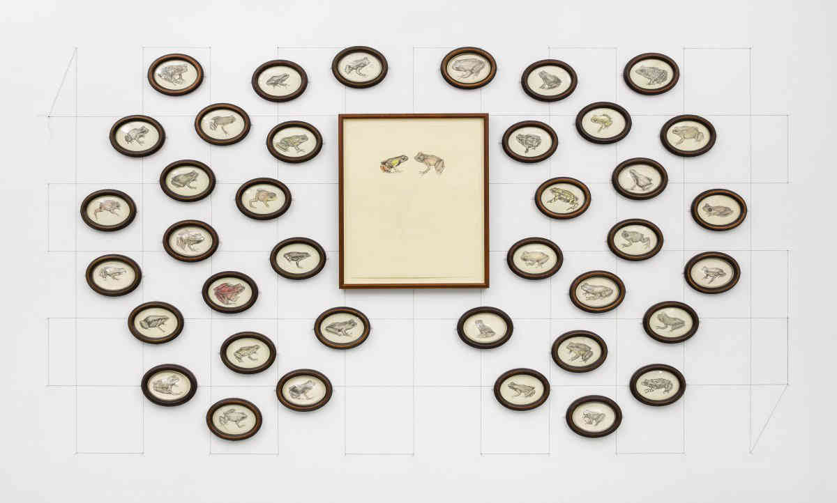 Science flair: New gallery combines art with biology