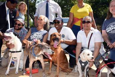 Work starts on long-delayed Kensington Dog Run