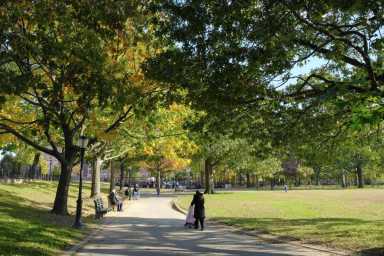 Parks Department kicks off Bensonhurst Park renovation