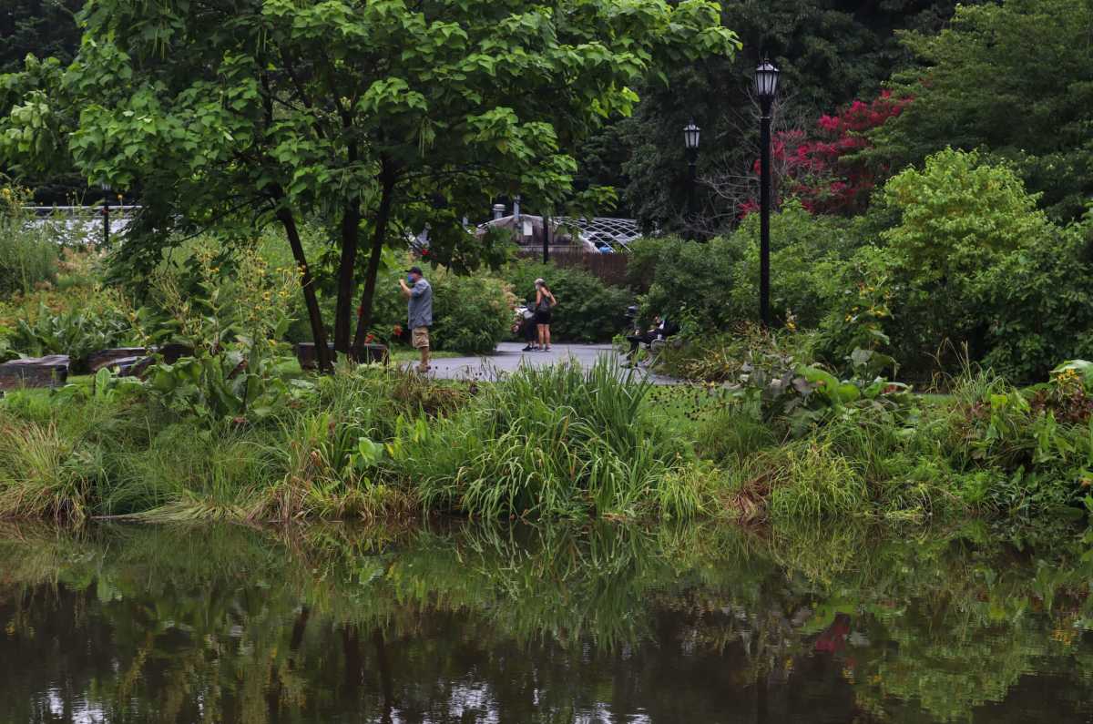 botanic garden