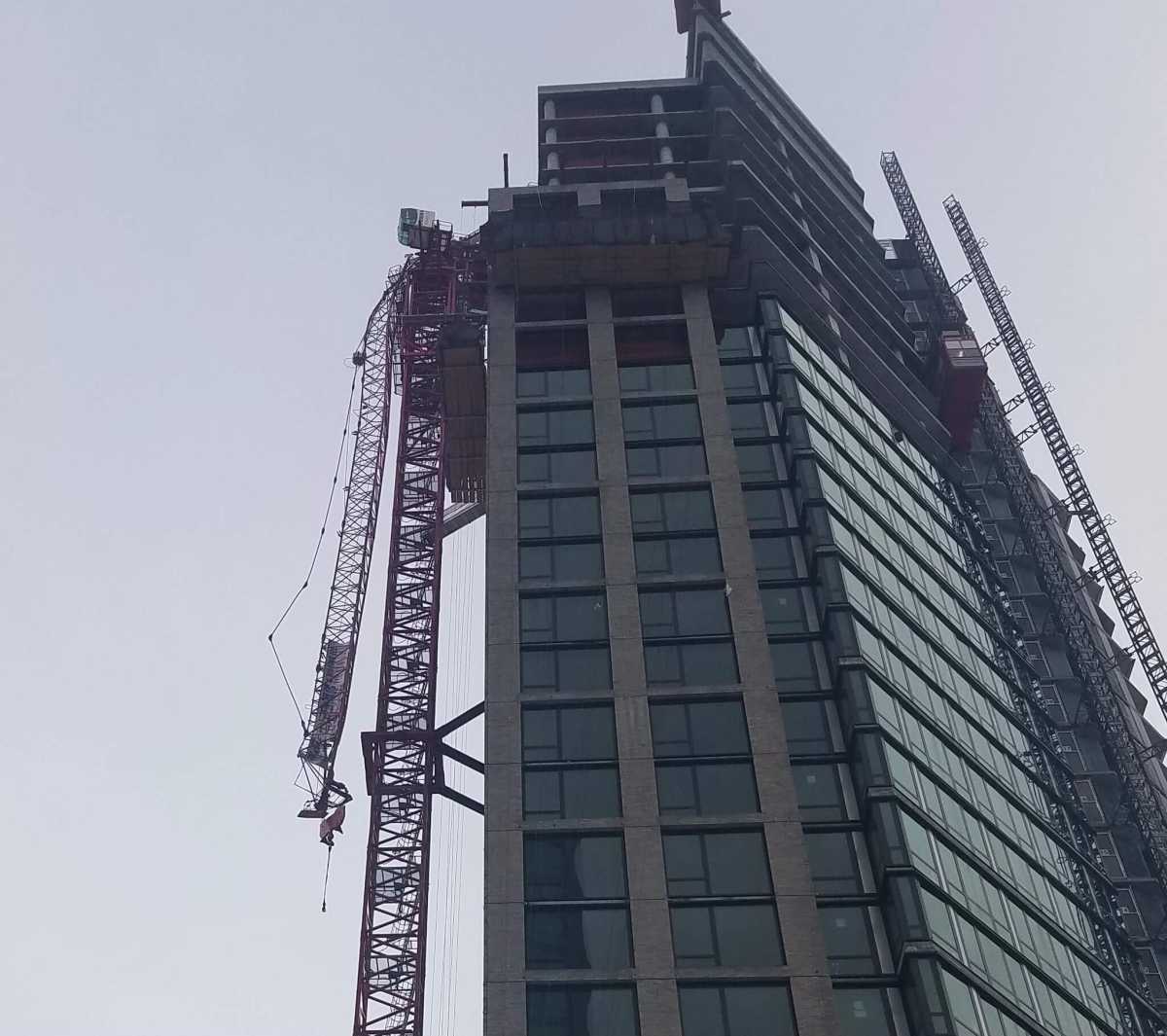 Crane new 1