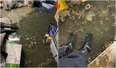 sewage