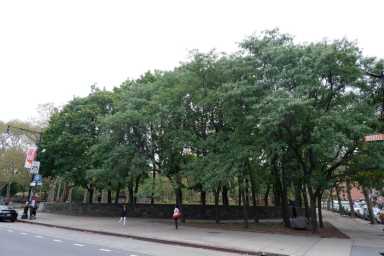 fort greene park