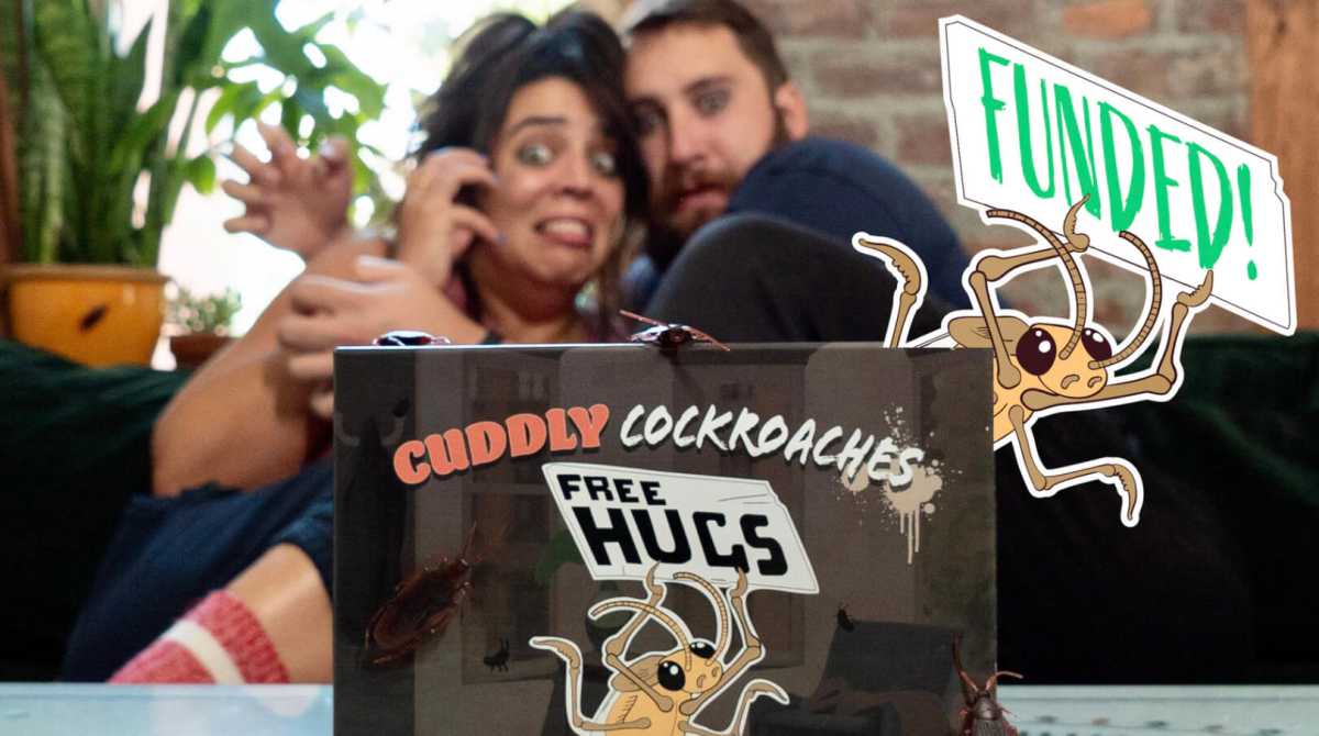 Cuddly Cockroaches