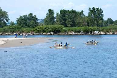 coney island creek