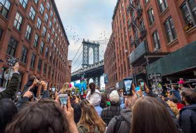 dumbo drop elephants