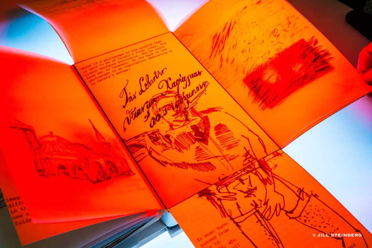 archive of desire festival