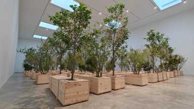 IMG20230409182237 (1)