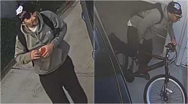 brighton beach bike burglar