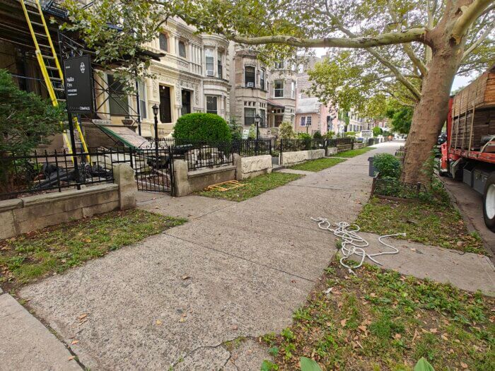 sidewalk shed in crown heights