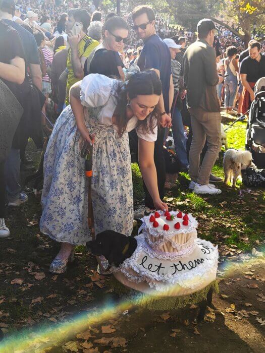 pupkin at fort greene