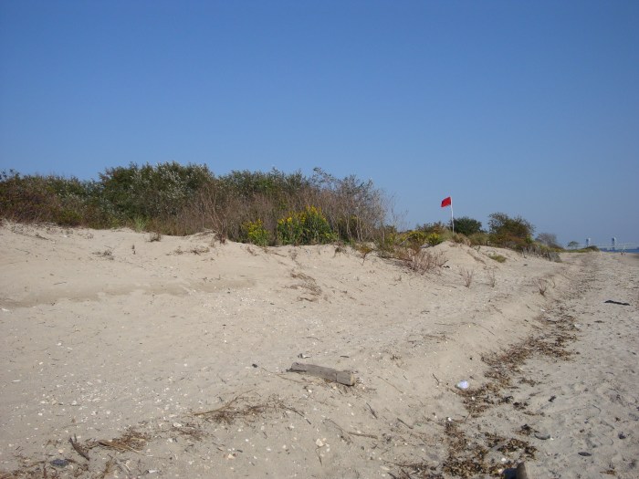 plumb beach