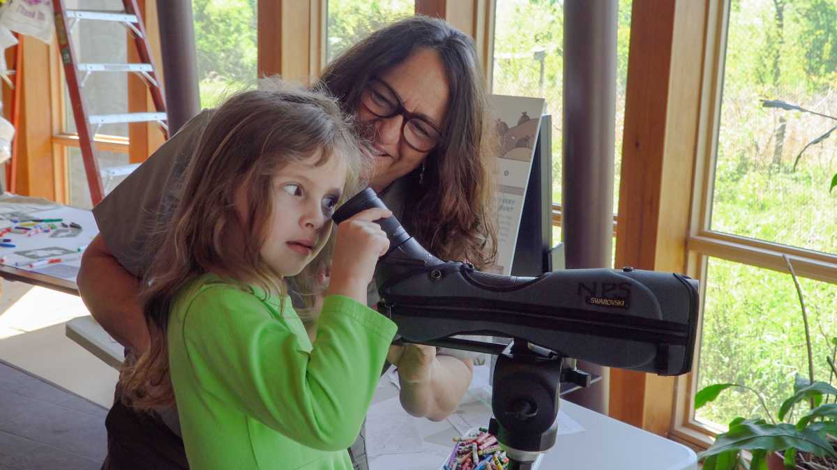 jamaica bay birdwatcher