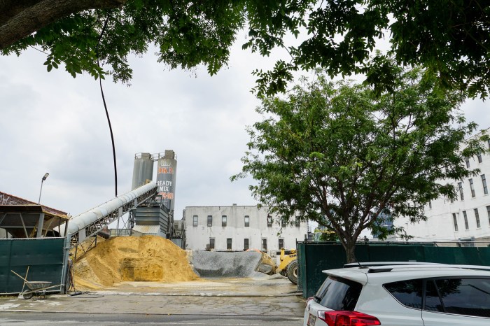 DKN plant