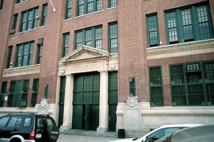 new utrecht high school pigeon