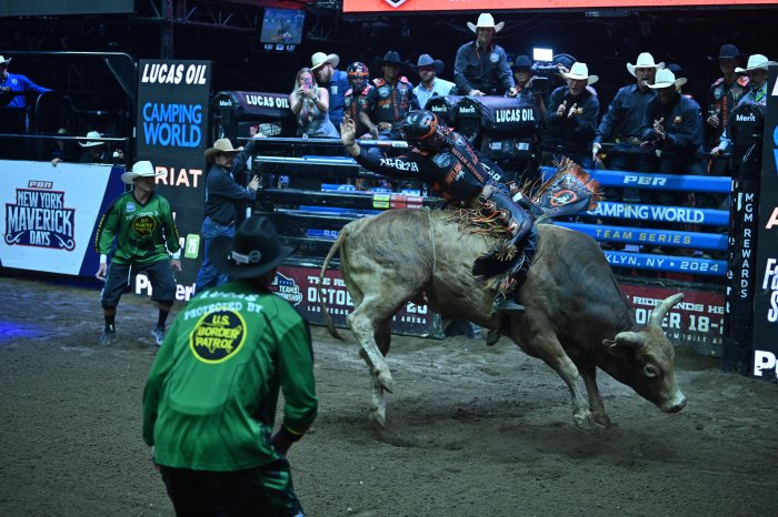 Mavericks bull rider