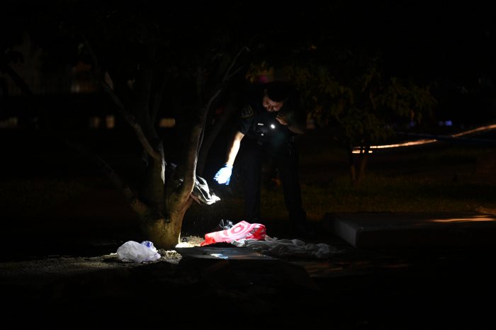 clinton hill playground shooting