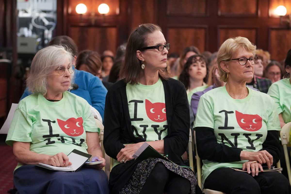 animal welfare city council hearing