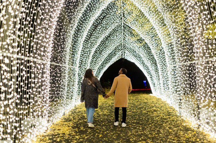 lightscape winter cathedral 