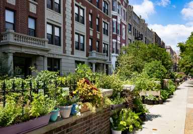 brownstone-agency-may-2024