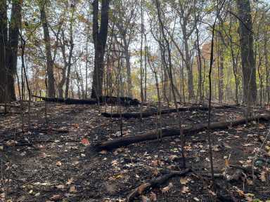 prospect park fire