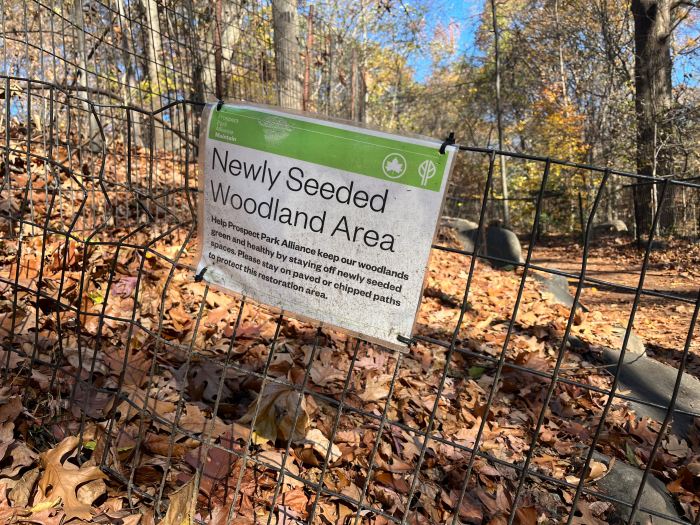 new plantings in prospect park