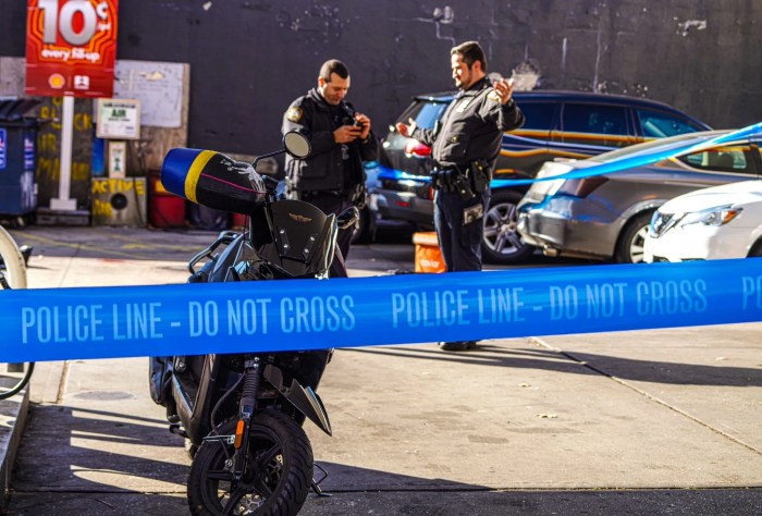 police sunset park stabbing