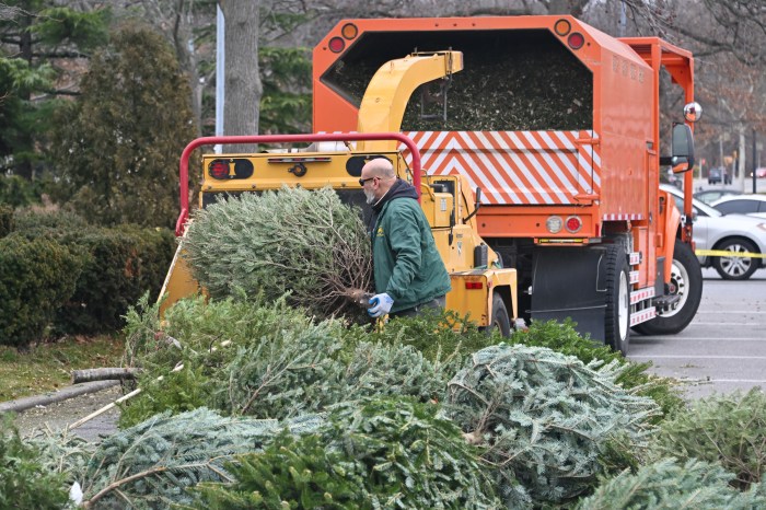 man throwing tree in chipper