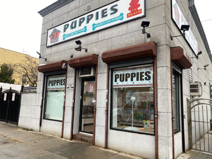 puppy boutique