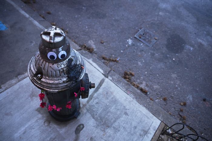 bed-stuy aquarium hydrant