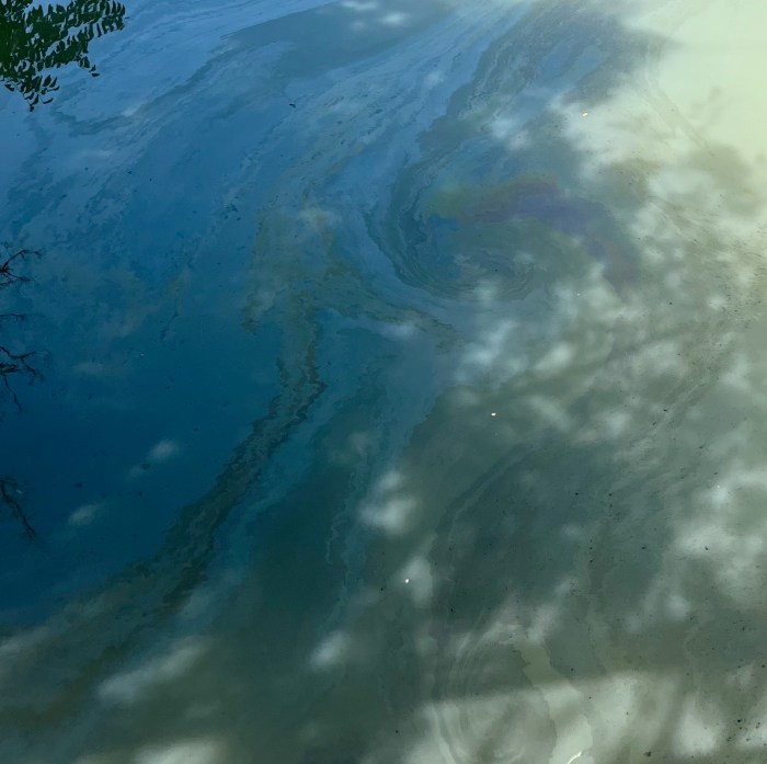 oil sheen at newtown creek