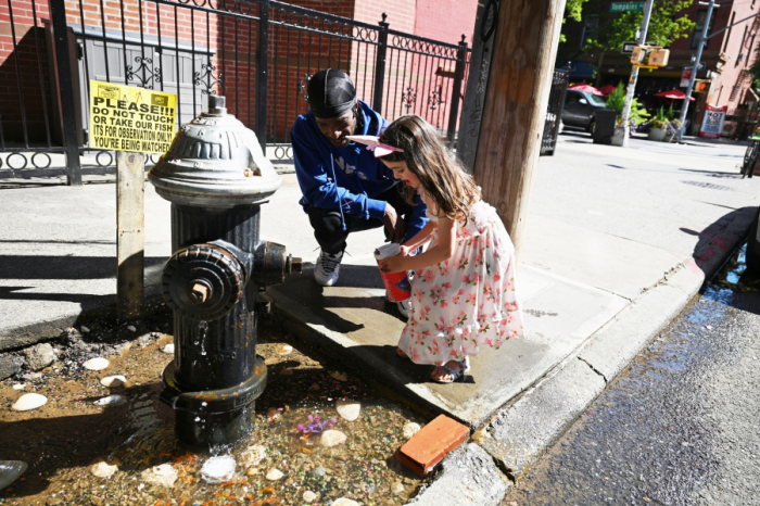 neighbors at bed-stuy fish pond