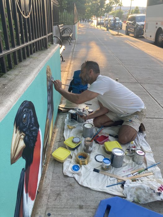 man working on bird mural