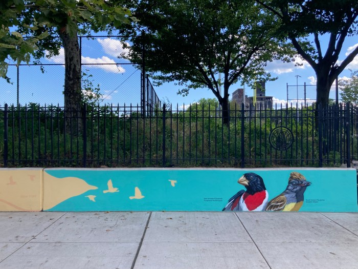 bird mural in red hook