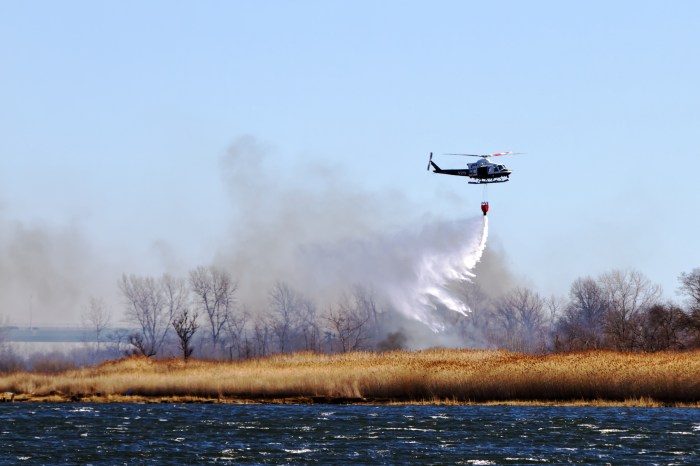 marine park brush fire