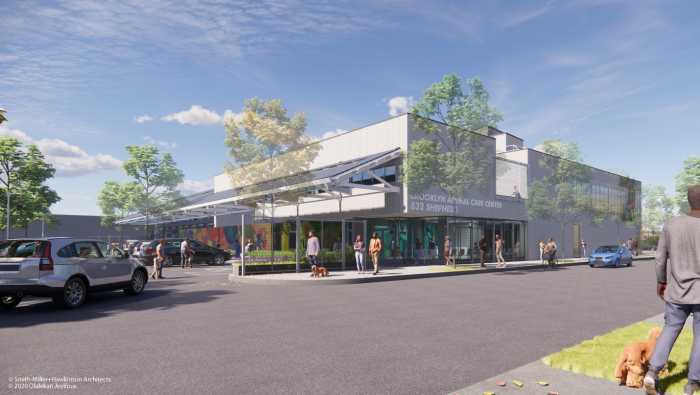 animal care centers shelter in brooklyn