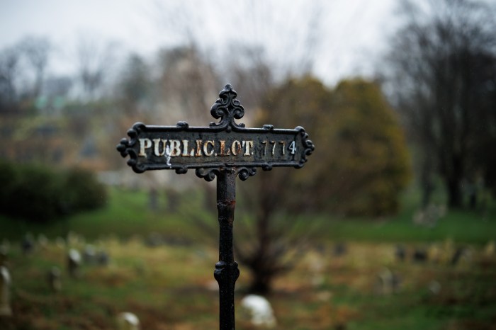 green-wood public lot sign