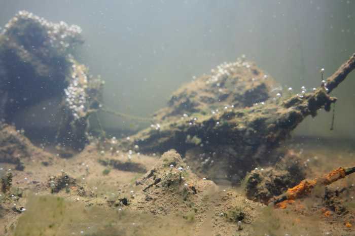 gowanus canal sludge