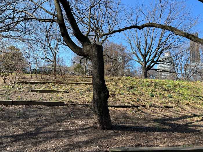 railroad ties fort greene park