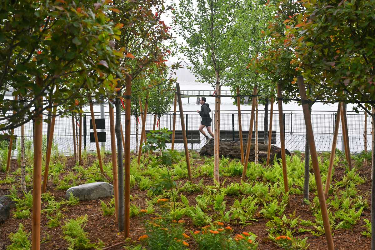 mini forest in williamsburg